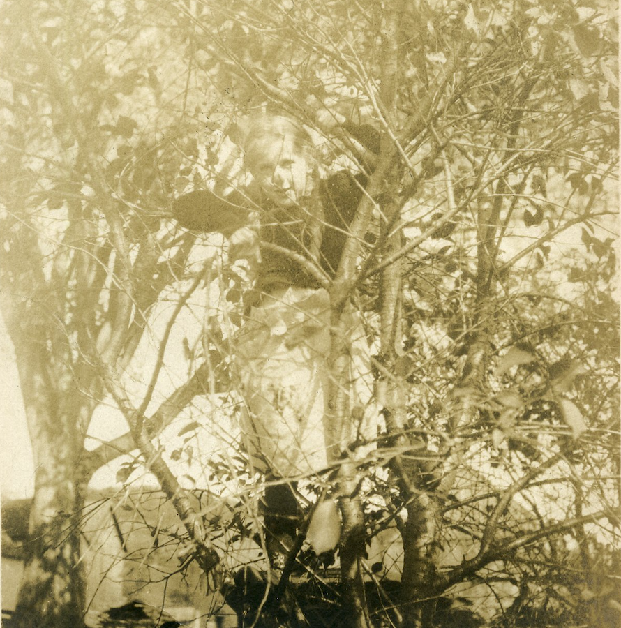 Francisca appears to have enjoyed climbing trees…
