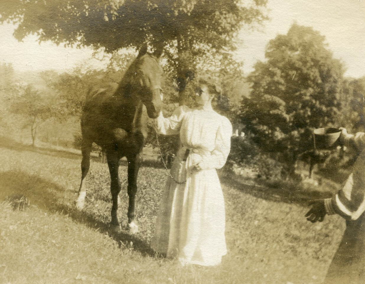 And they figured out that horses are much more cooperative about posing when there is a dish of grain around…