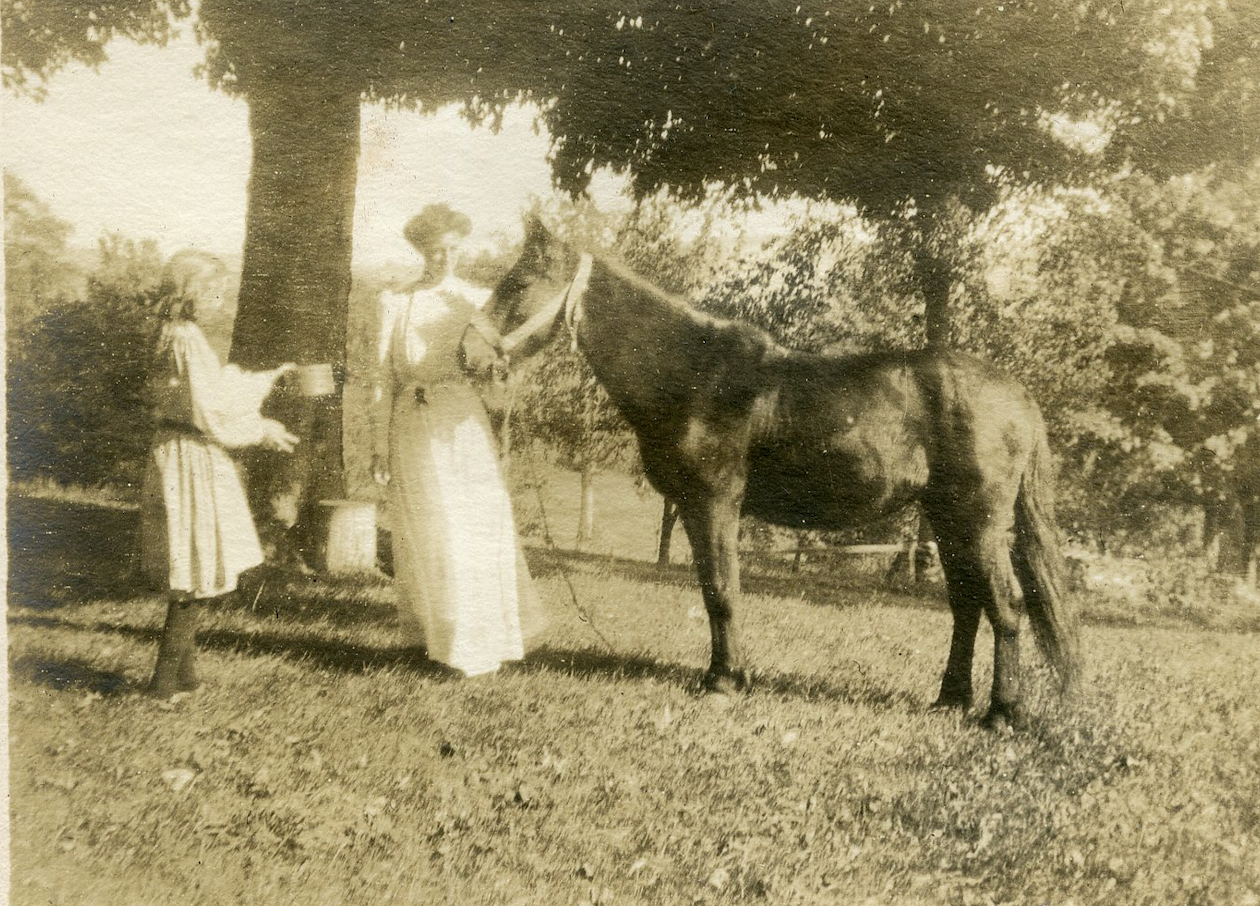 They also enjoyed taking pictures of the horses.