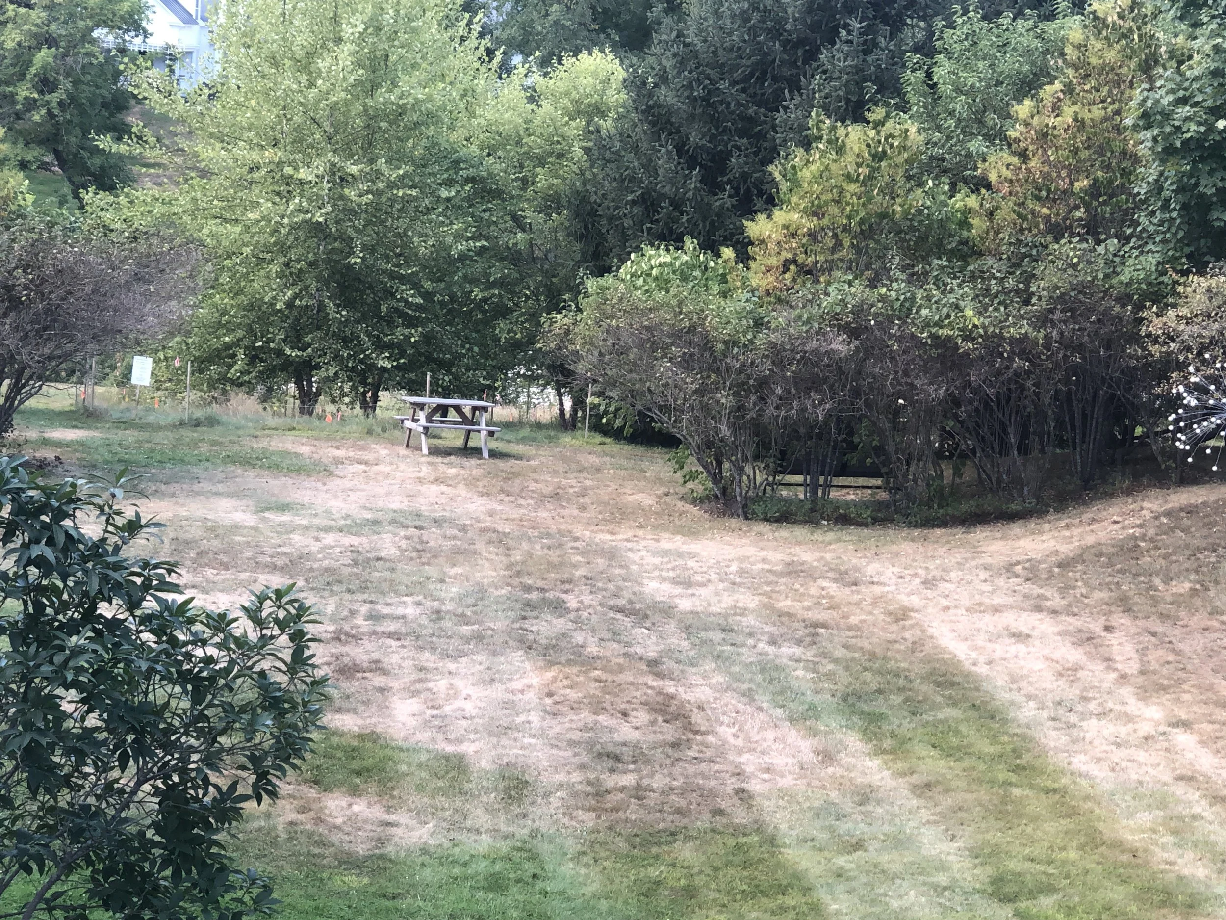 Back lawn of the Woodstock History Center in Woodstock, Vermont. Photo taken September 2, 2025.