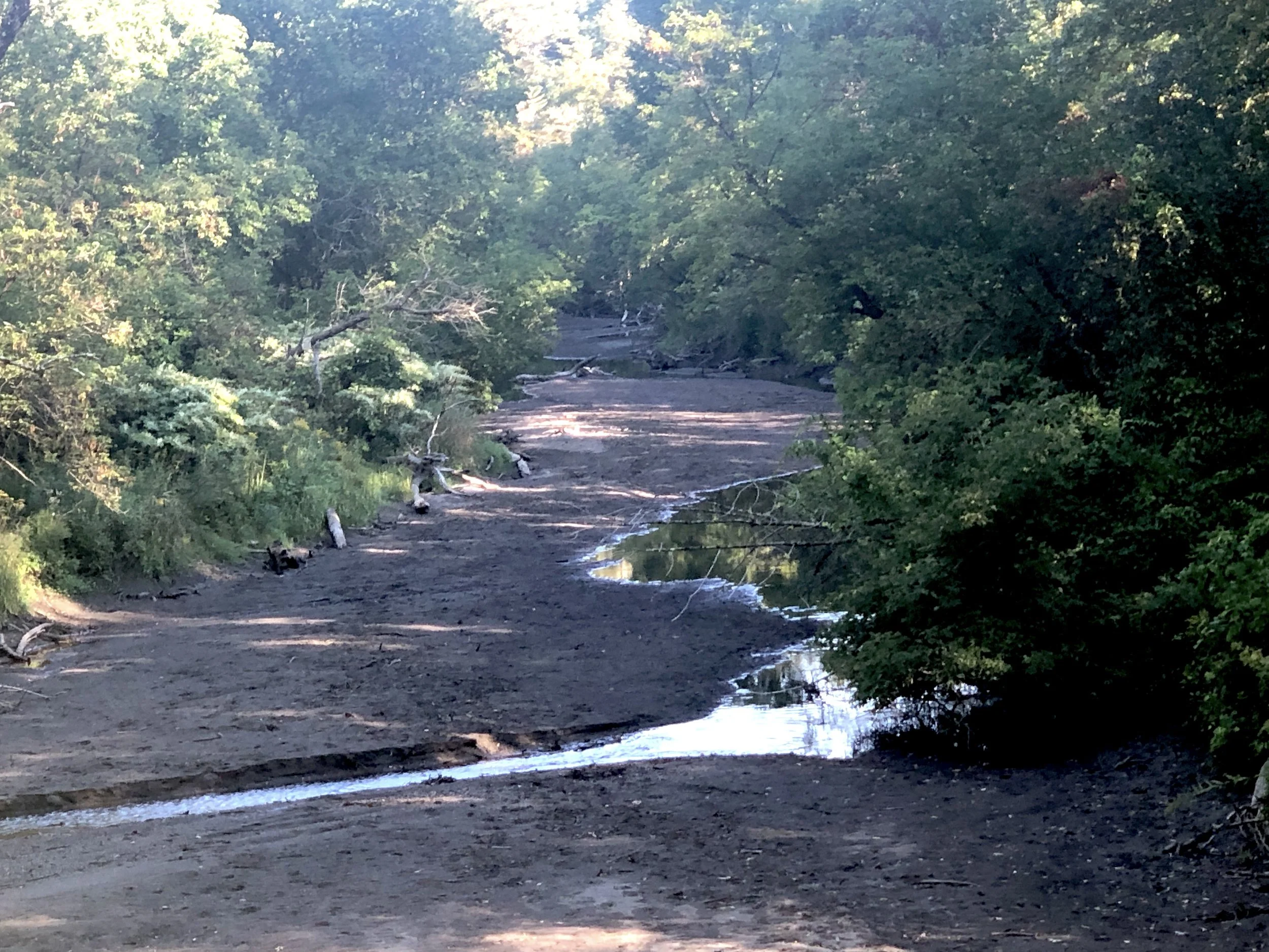 The Barnard Brook. View from Route 12 N, looking toward Bassett's Farm. Photo taken September 2, 2025.