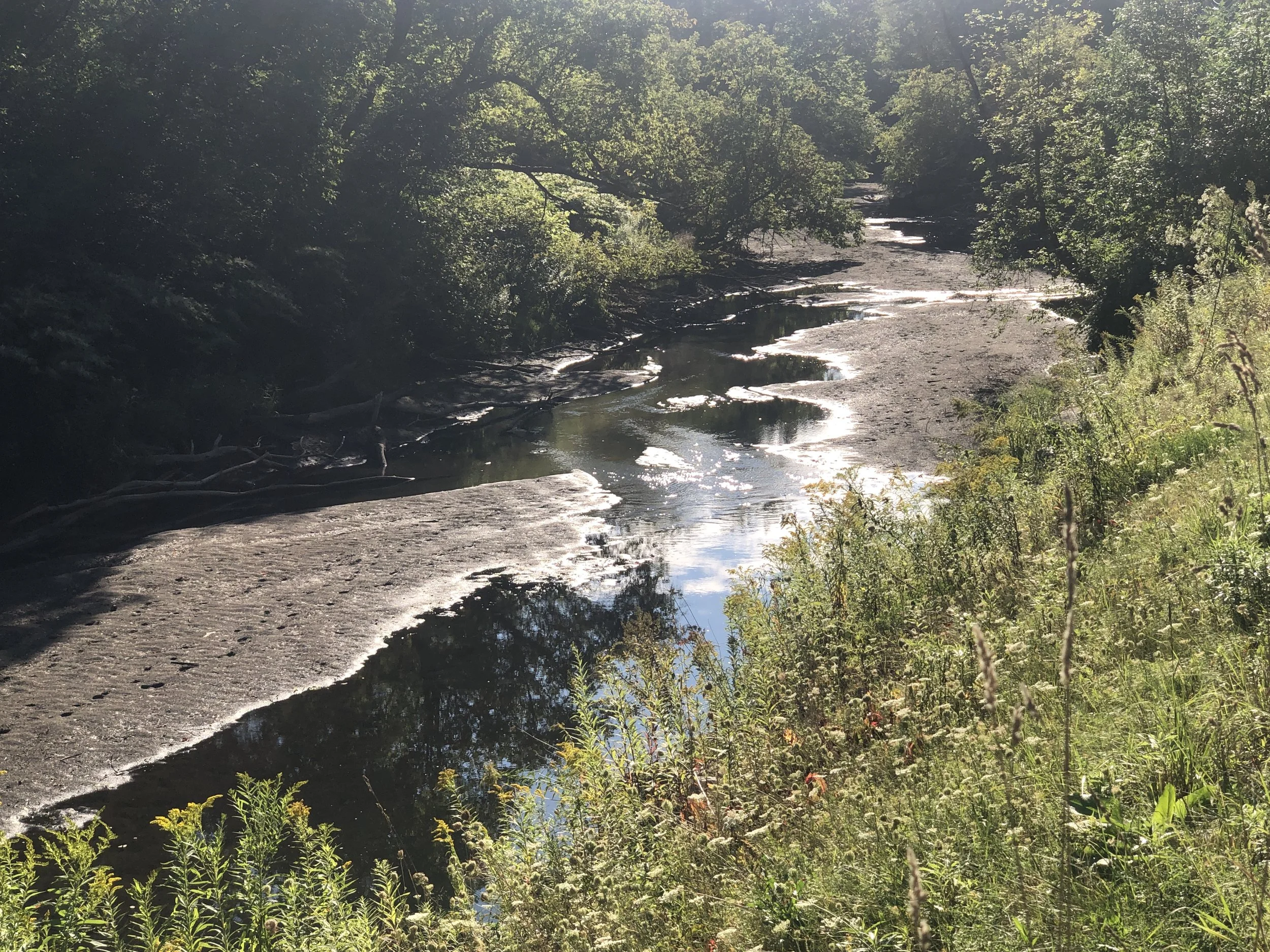 Barnard Brook. View from Route 12 N, looking towards Billings Farm.  Photo taken September 2, 2025.