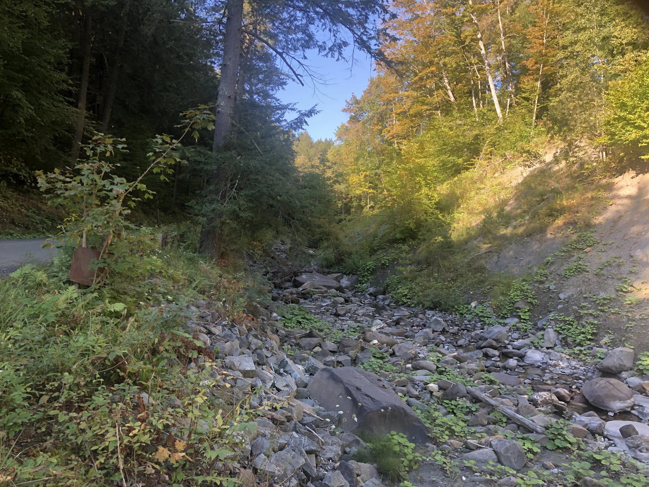 North Bridgewater Brook by 1st bridge on Woodstock side. Photo taken September 4.