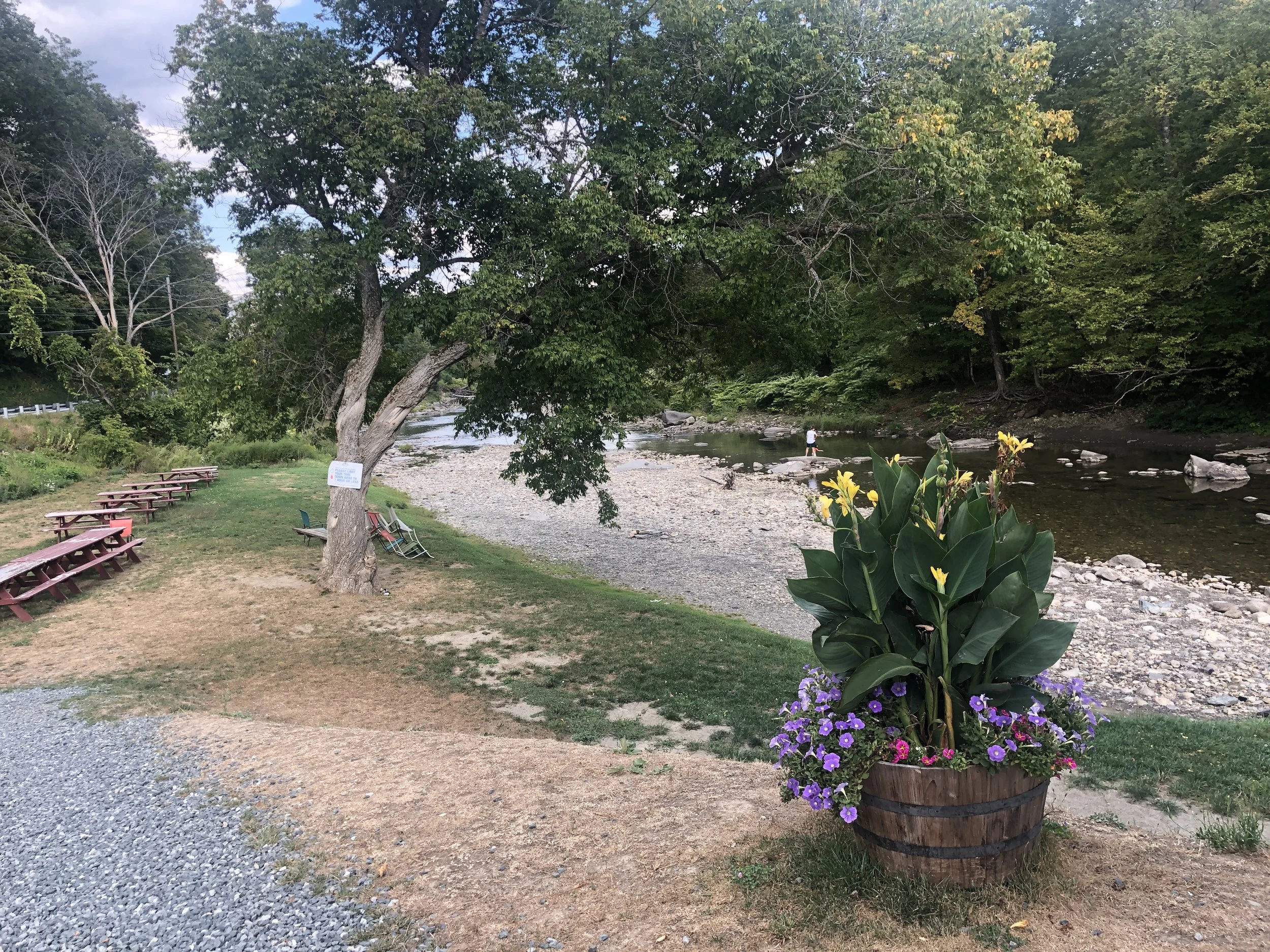 Ottauquechee River behind the White Cottage in West Woodstock - looking east. Photo taken September 4.
