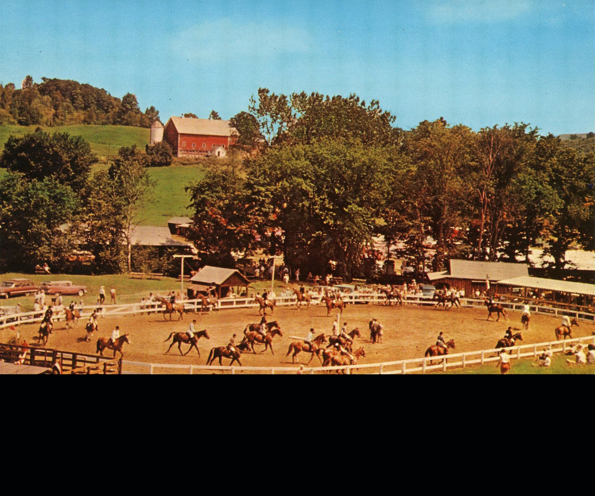 Green Mountain Horse Association