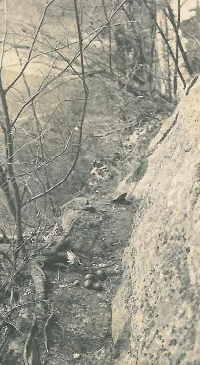 K. Pember Album 1-page-043.JPG