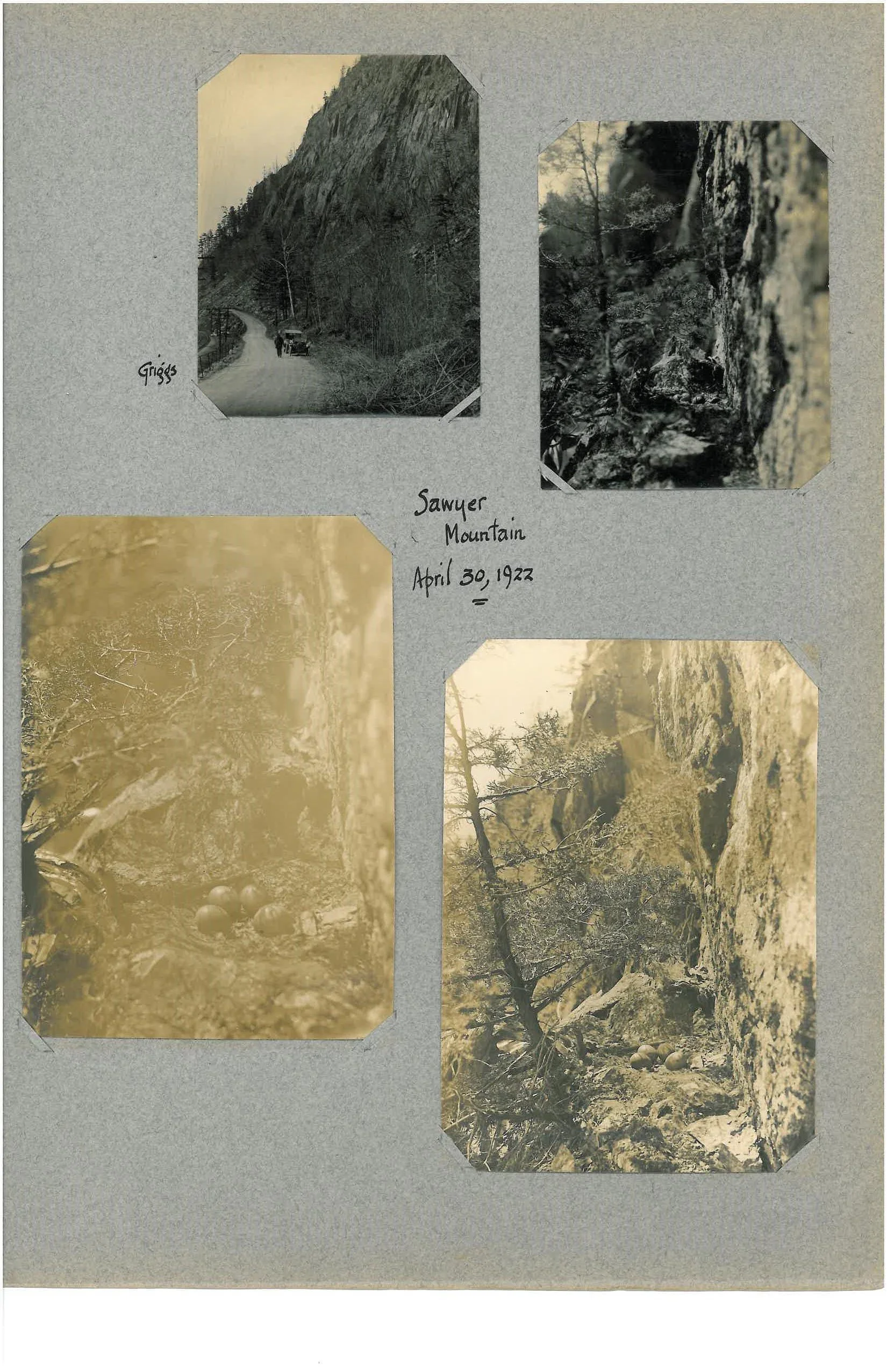 K. Pember Album 1-page-021.jpg