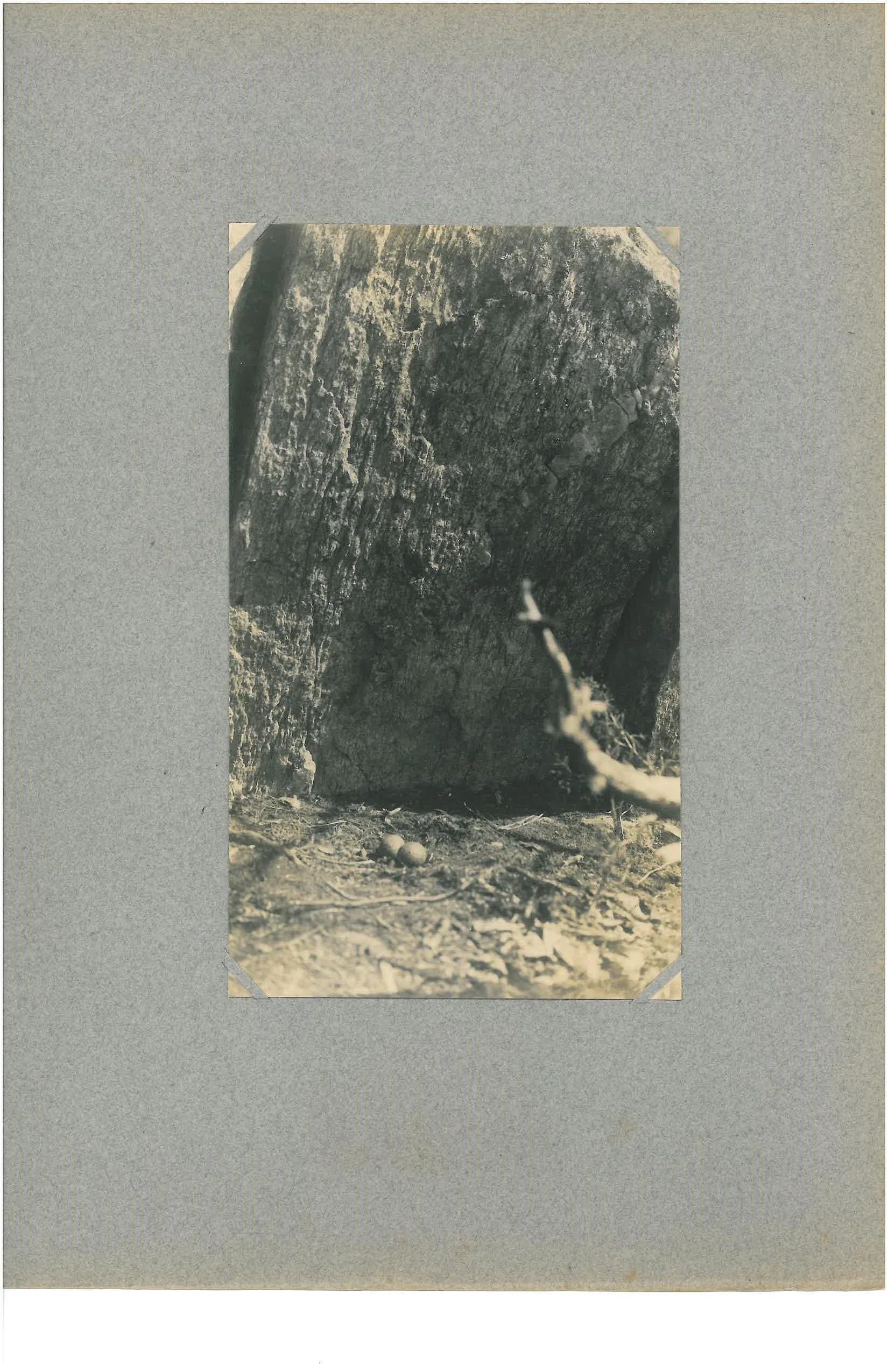 K. Pember Album 1-page-047.jpg