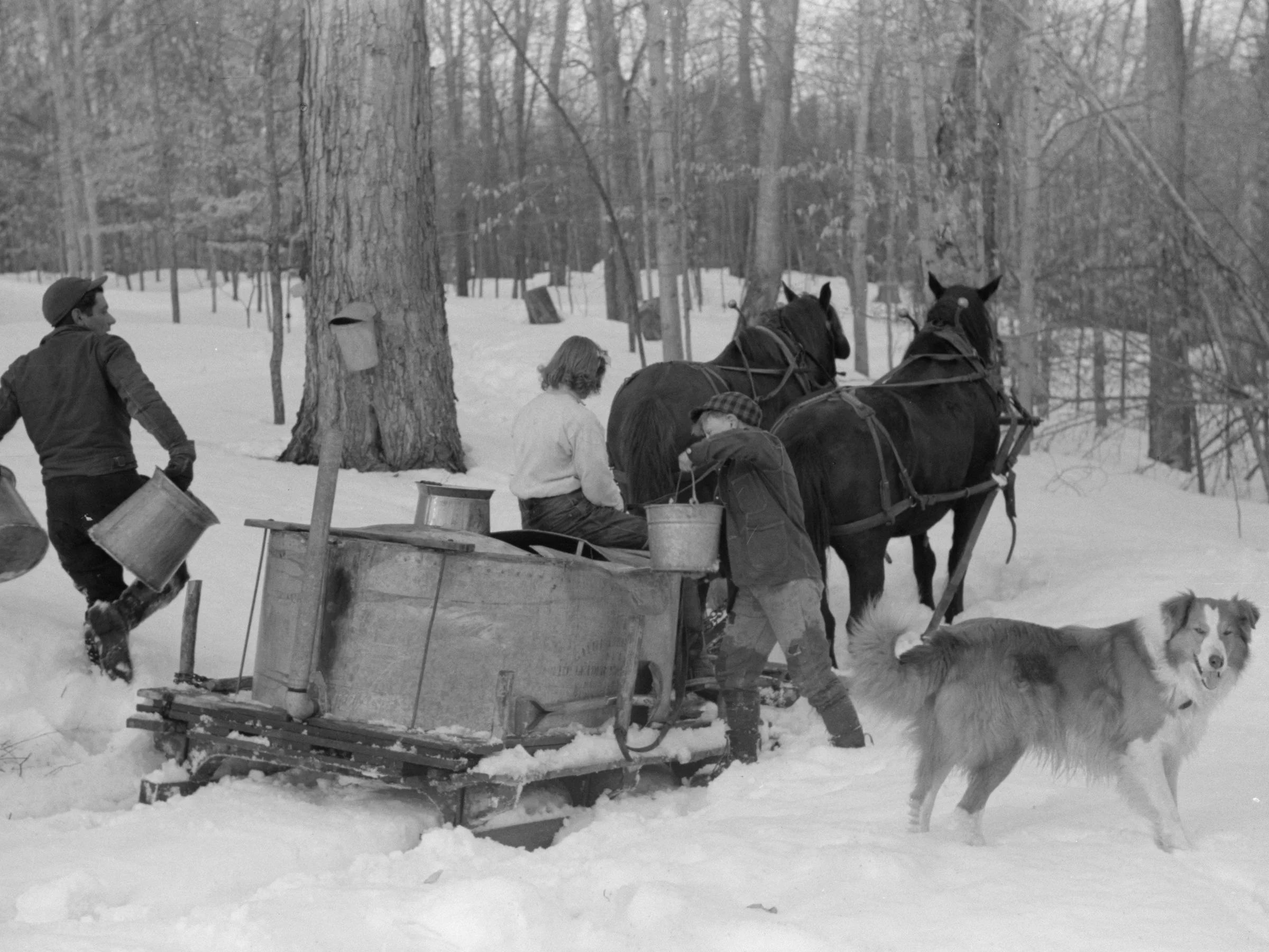 The snow was very deep in the spring of 1940 when these photos were taken. You can see that the pant legs of Irving Shurtleff (the young boy) were wet from trodding through the deep snow.