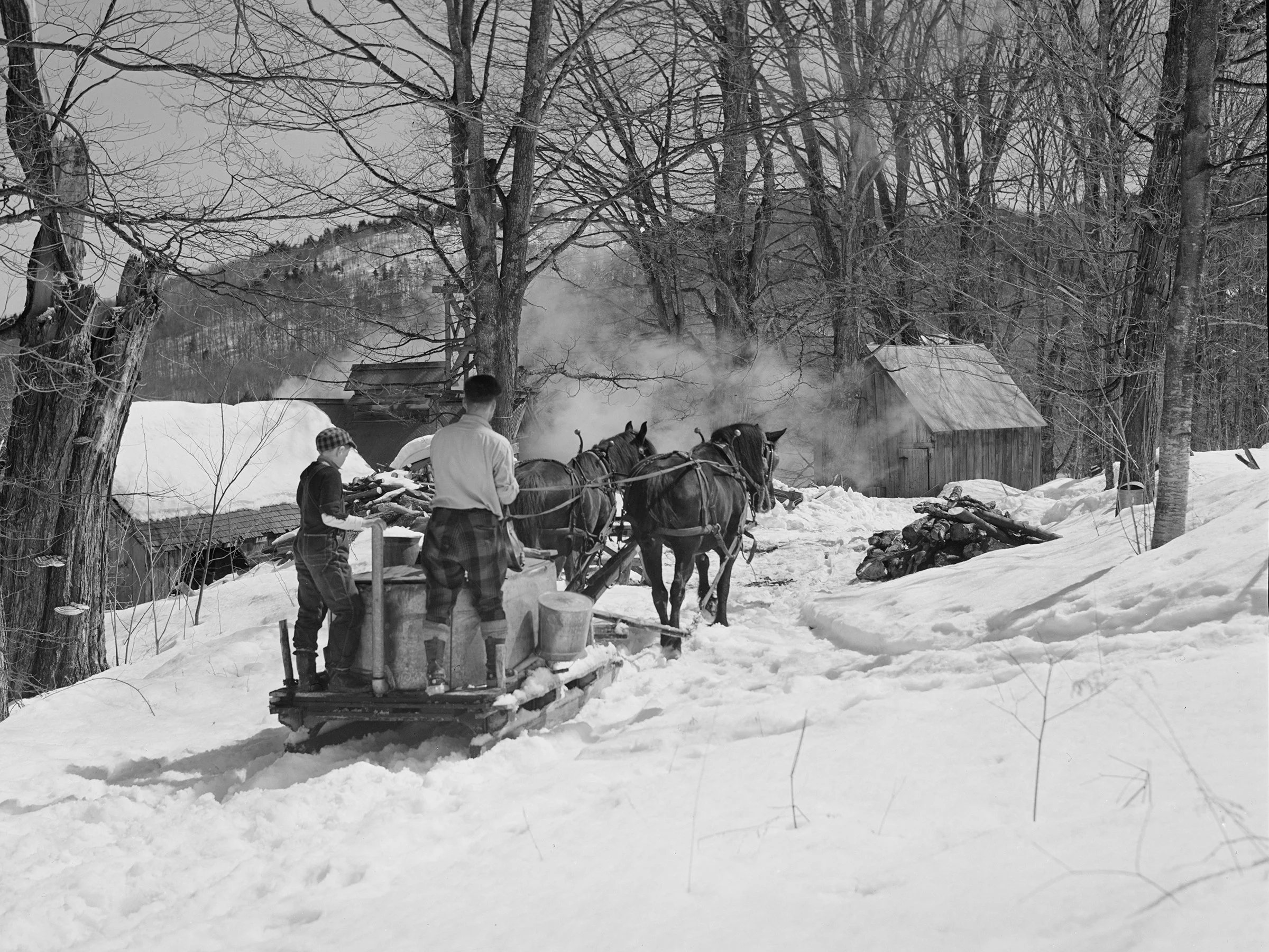 With the gathering tank full, it's time to head back to the sugar house.