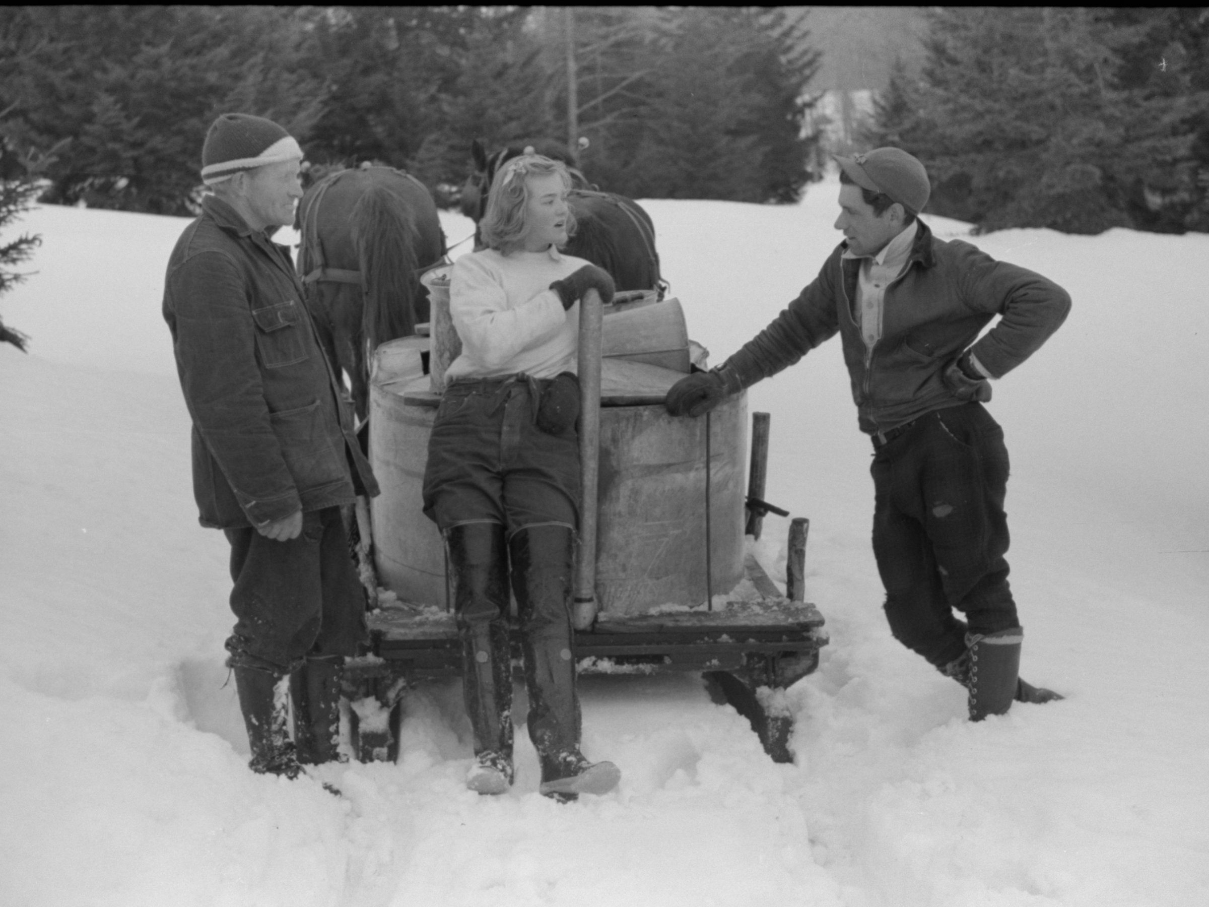 Time for a strategy session! The man on the right is probably saying, "Julia, where do you think we should go next to gather sap?"