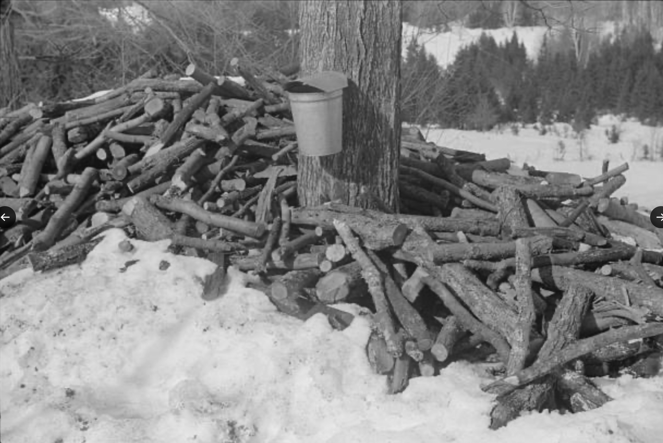 Since it was spring, she documented the process of maple sugaring, which was an important source of revenue for many Vermont farms in the 1940s.