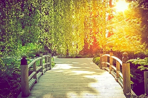 My path to Chinese medicine