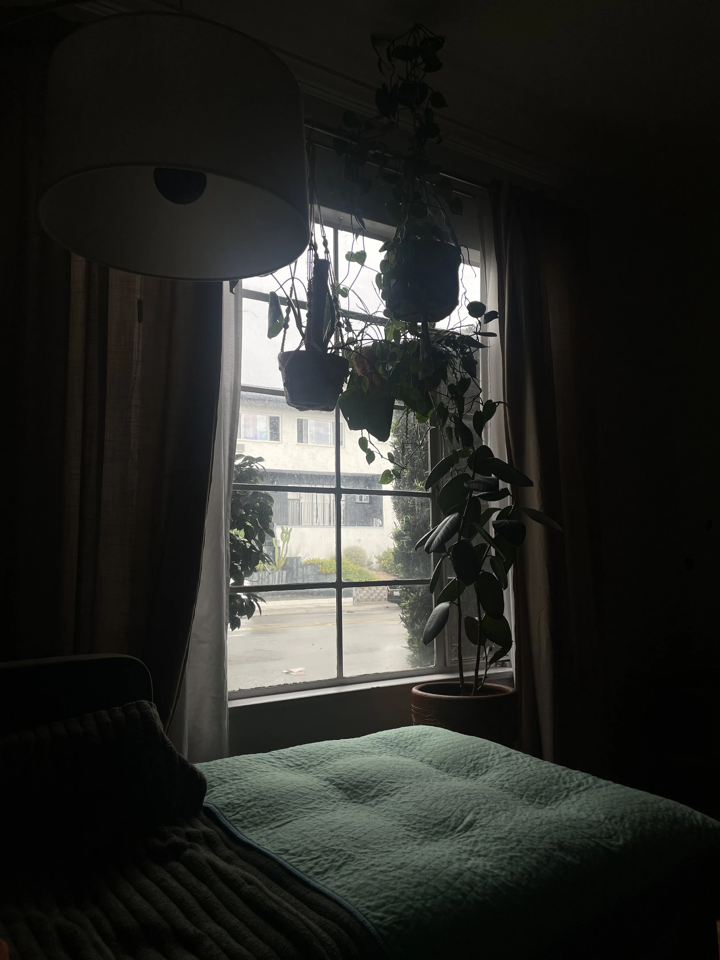 IMG_9917.jpeg