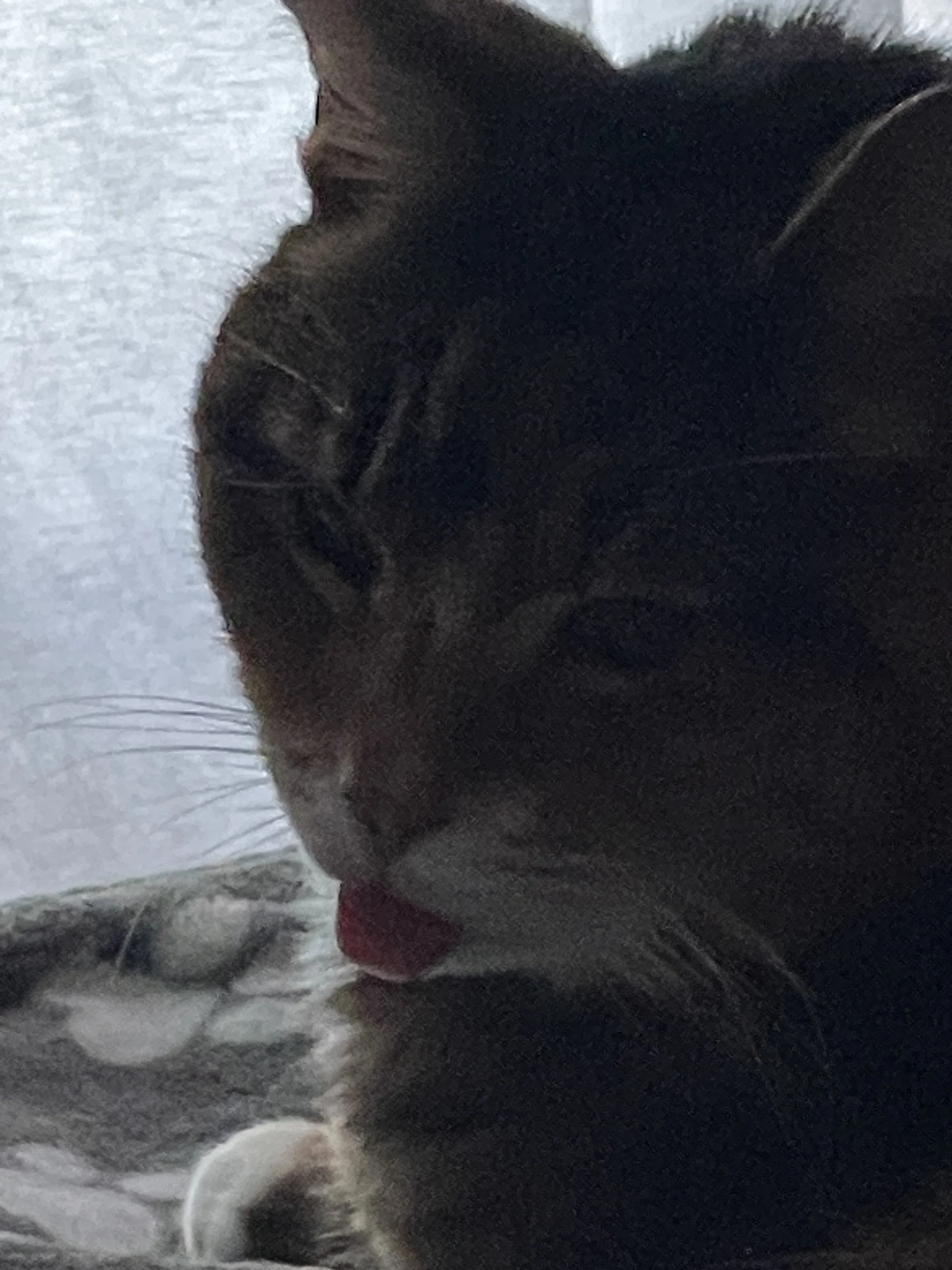 IMG_0396.jpeg