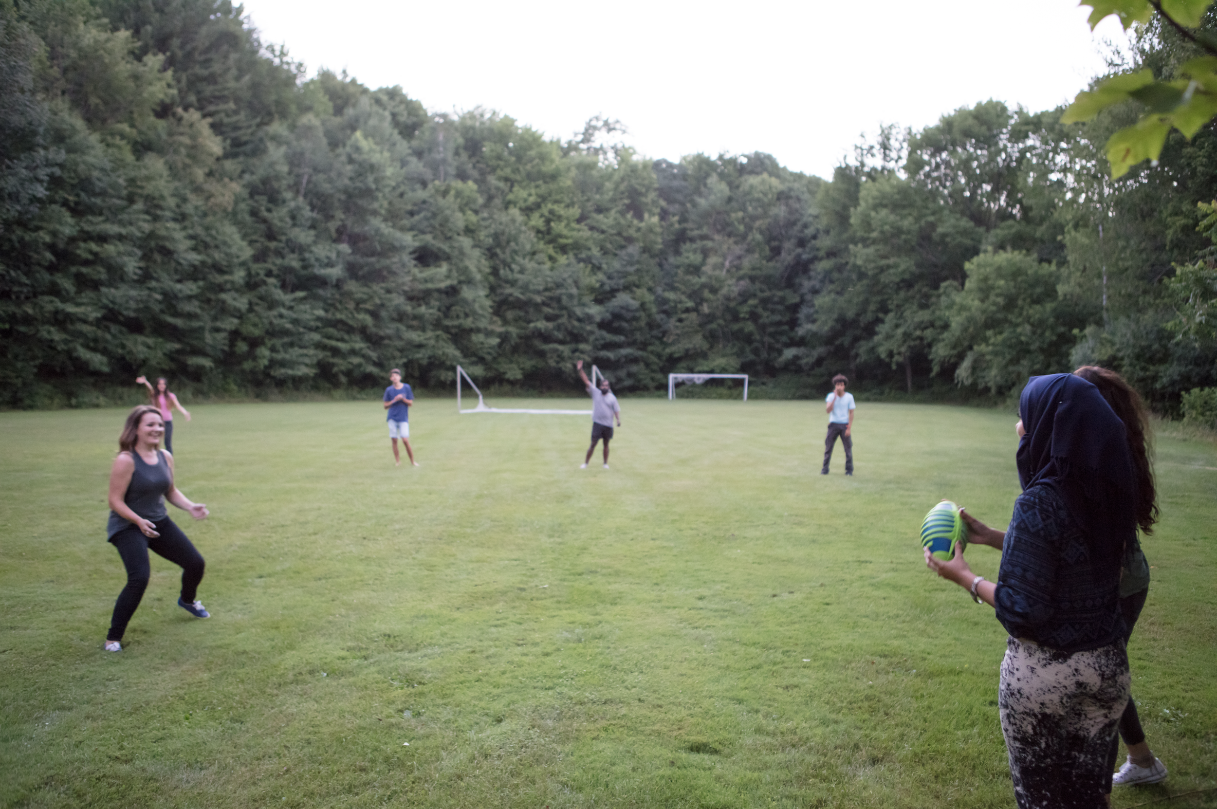 Screen Shot 2018-11-26 at 8.23.46 PM.png