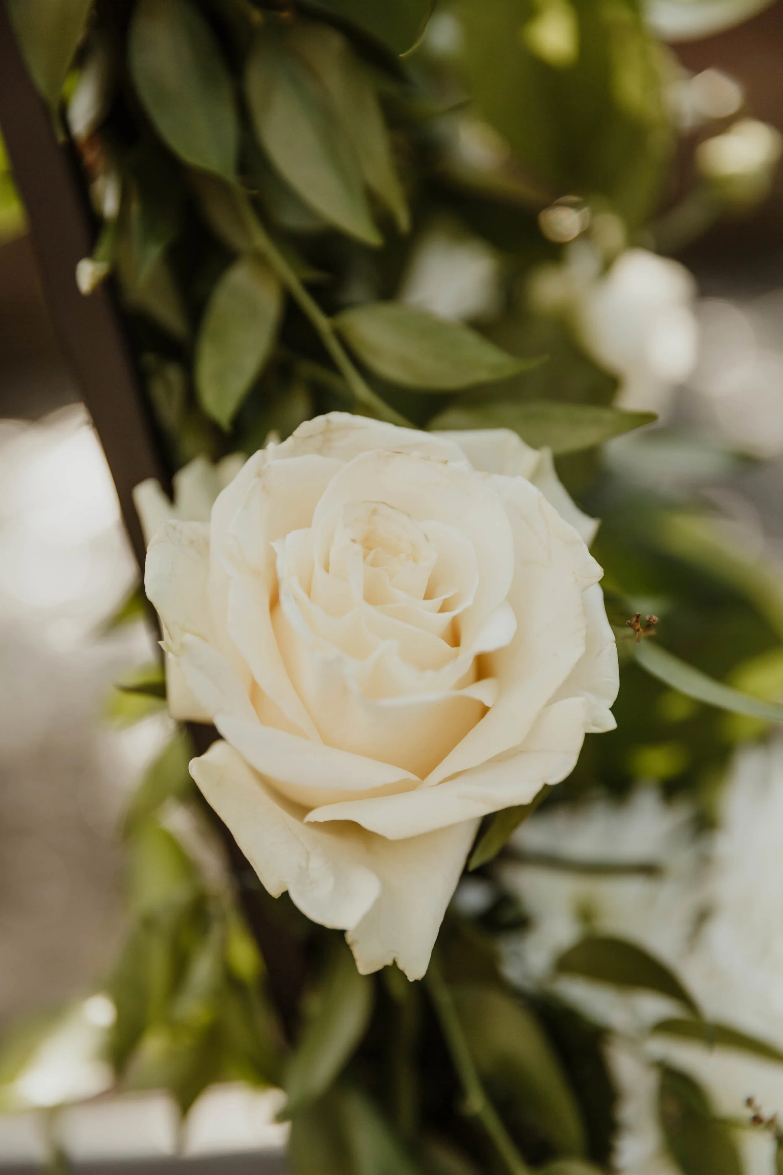 new-york-botanical-garden-wedding-photographer-26.jpg
