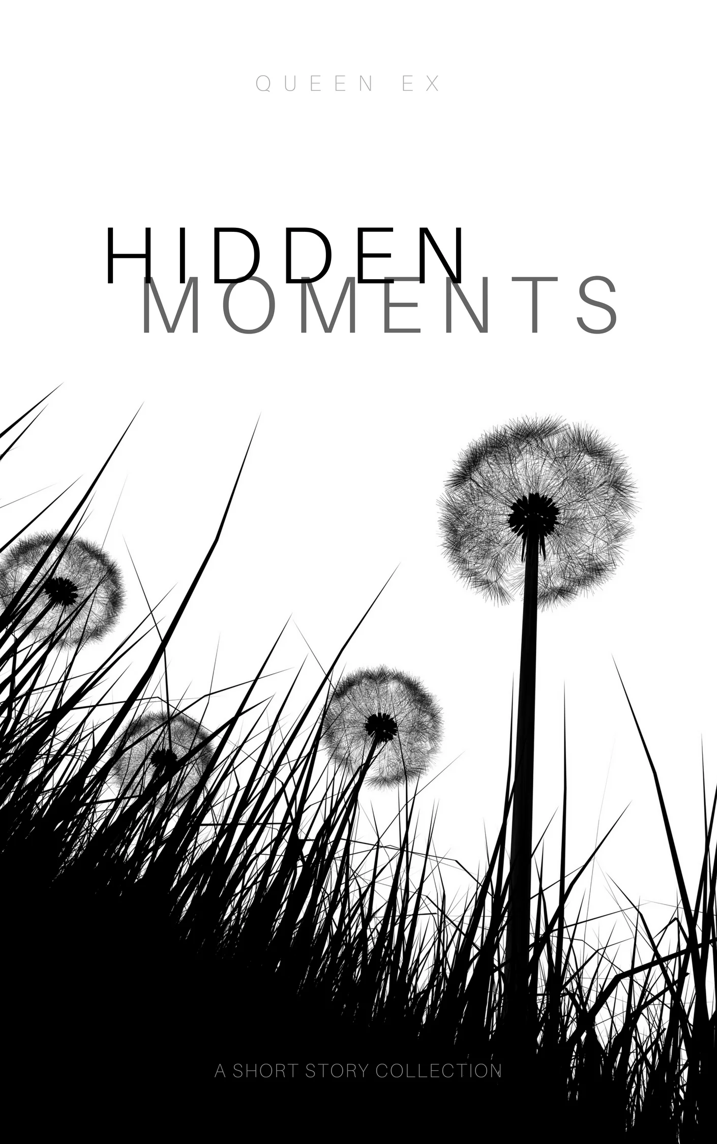HIDDEN MOMENTS: A Short Story Collection (Paperback)