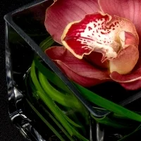 Cocktail Tables and Miniatures