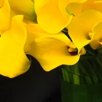 Weekly Flowers for Offices, Lobbies, Hotels, Restaurants and More