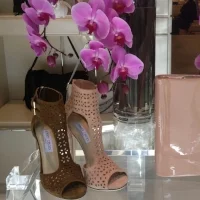 Product Launches and Exhibits