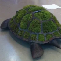 Theme &amp; Specialty Decor