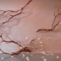 Flowering, Seasonal and Manzanita Branches