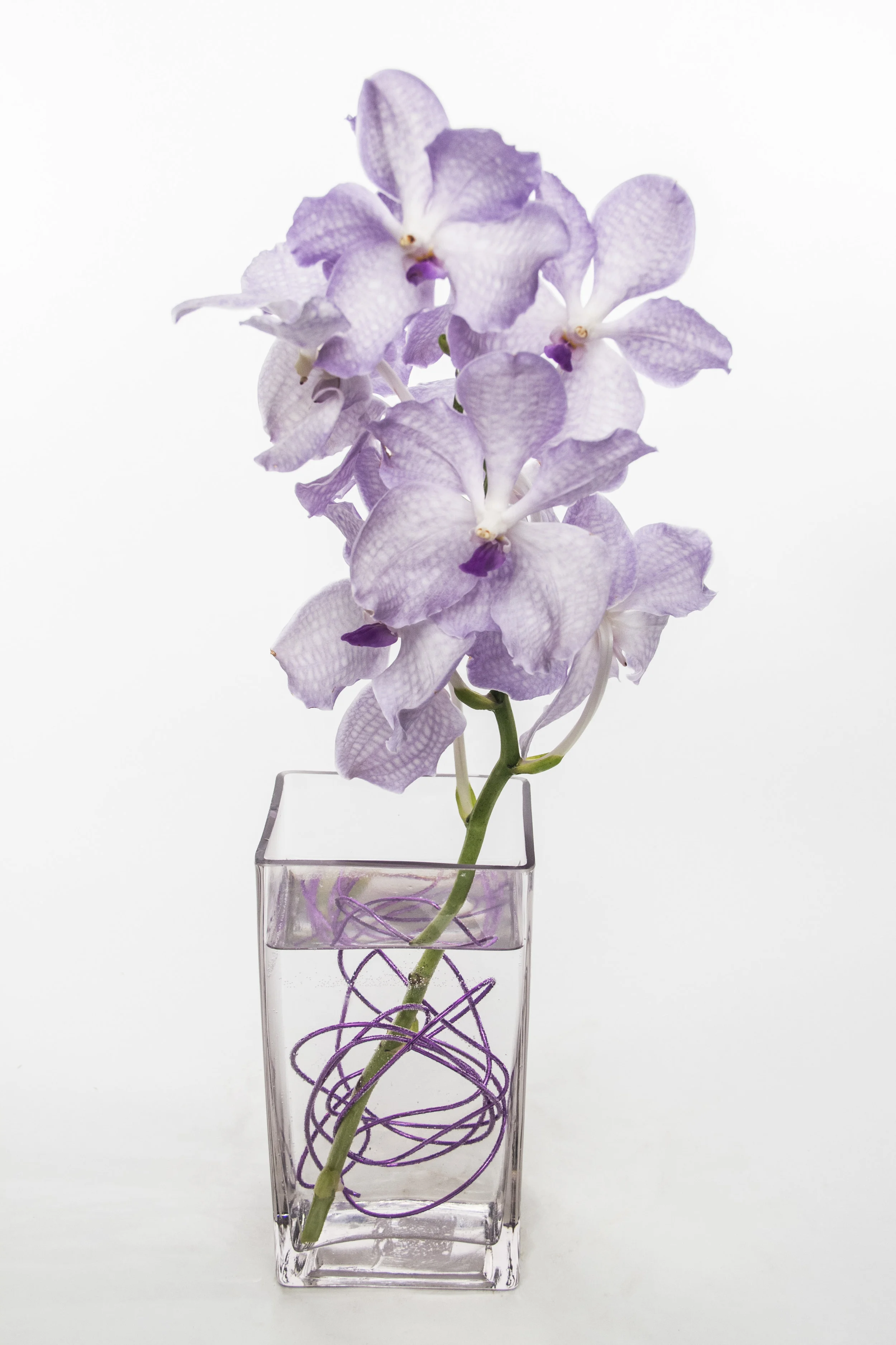 LS073