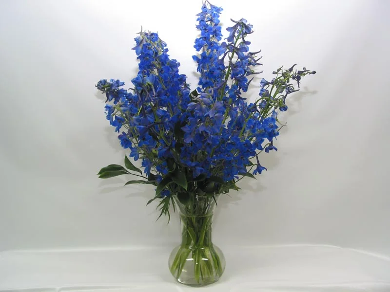BL023