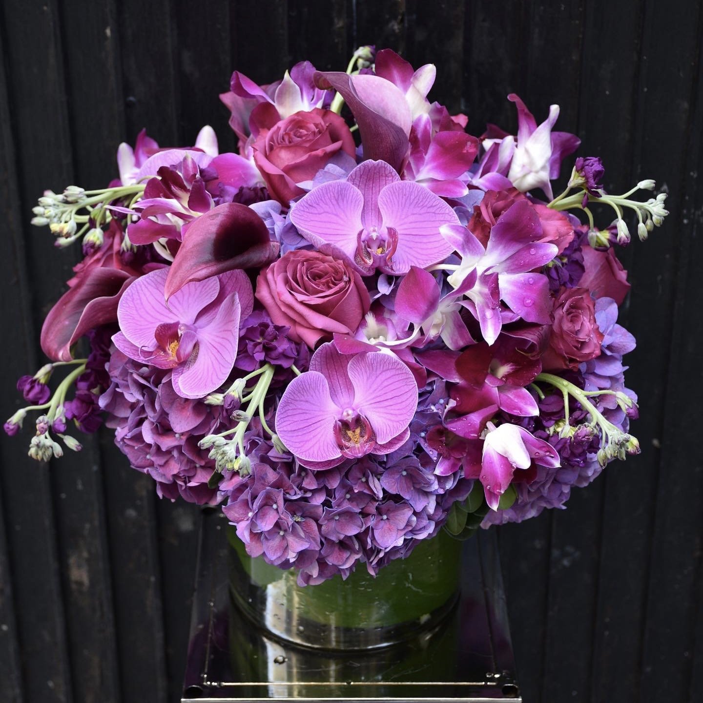 Purple-Lavender Flowers