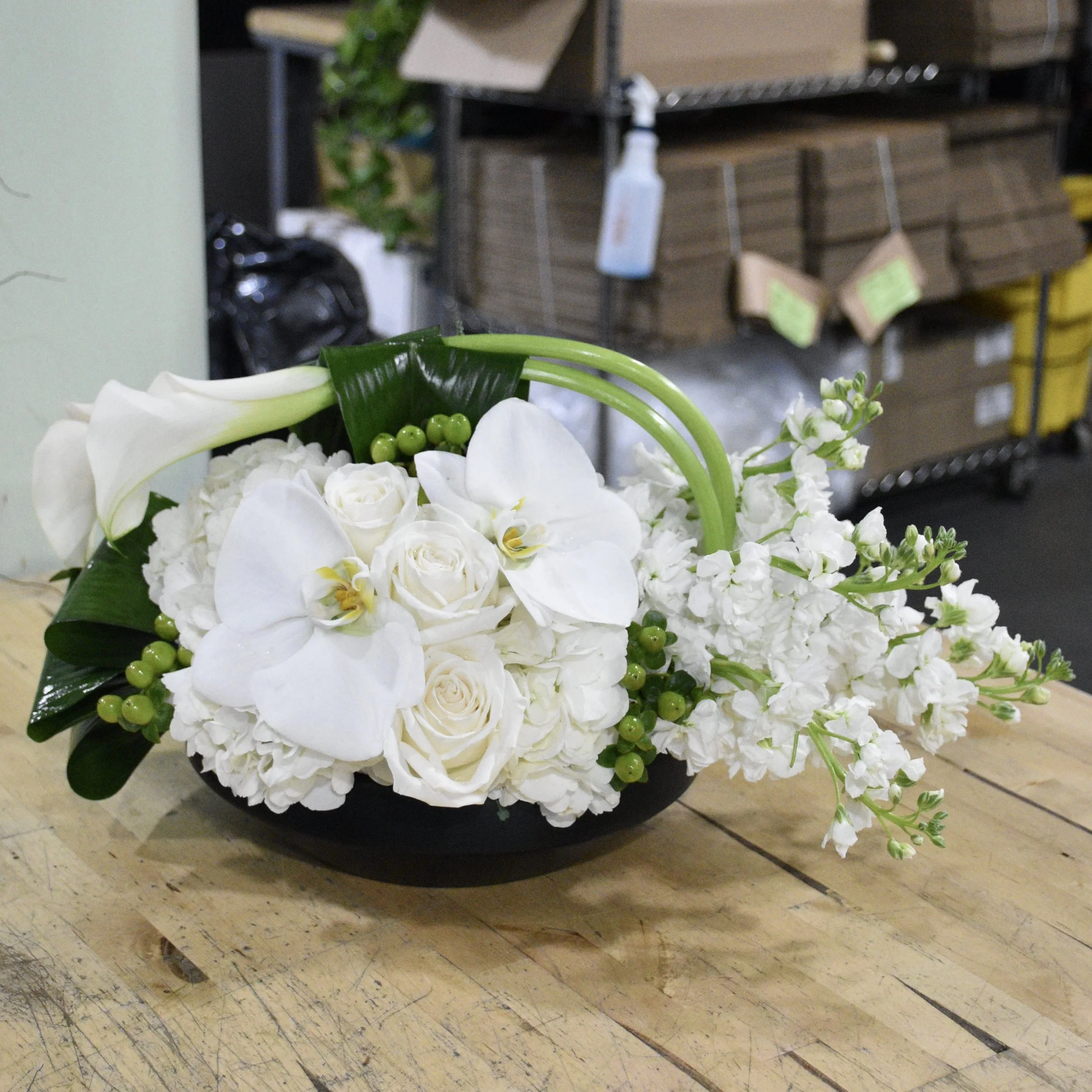 White Flowers
