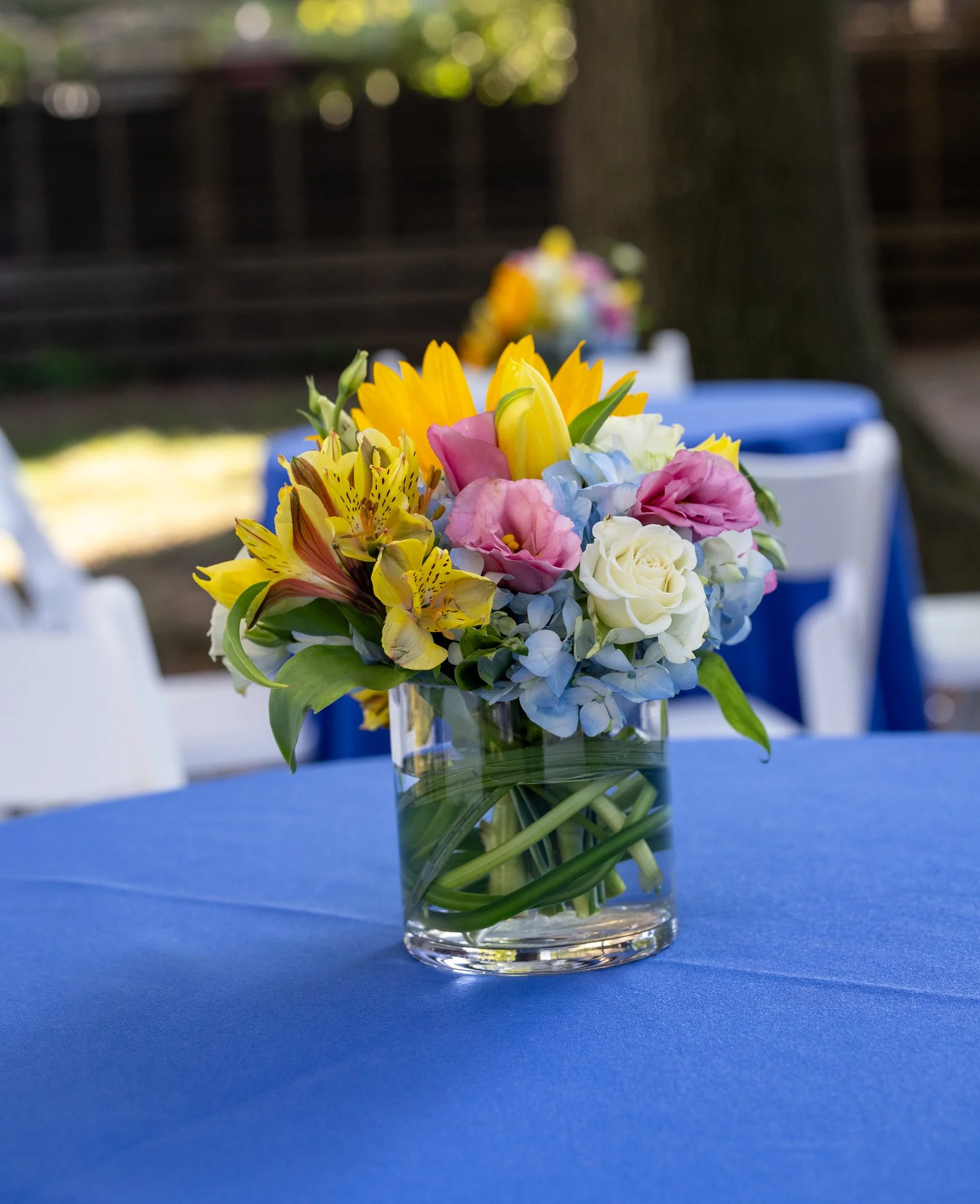 The Delacorte Theater