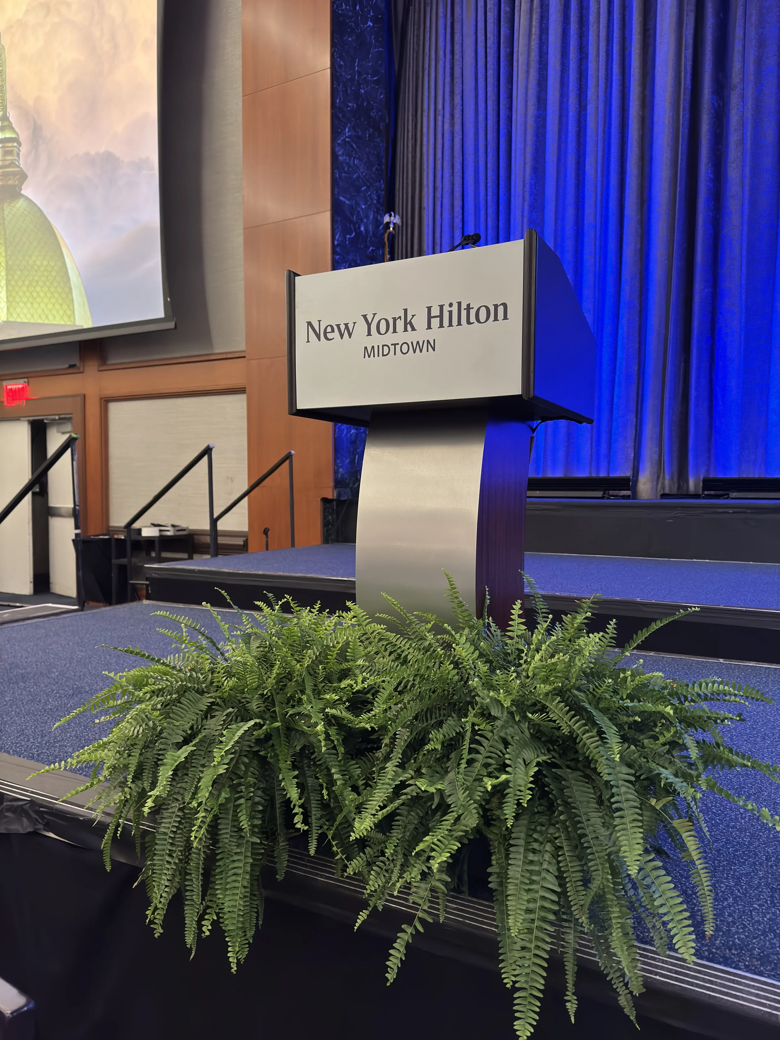 Photo 30-03-26, 4 02 59 PM.jpg