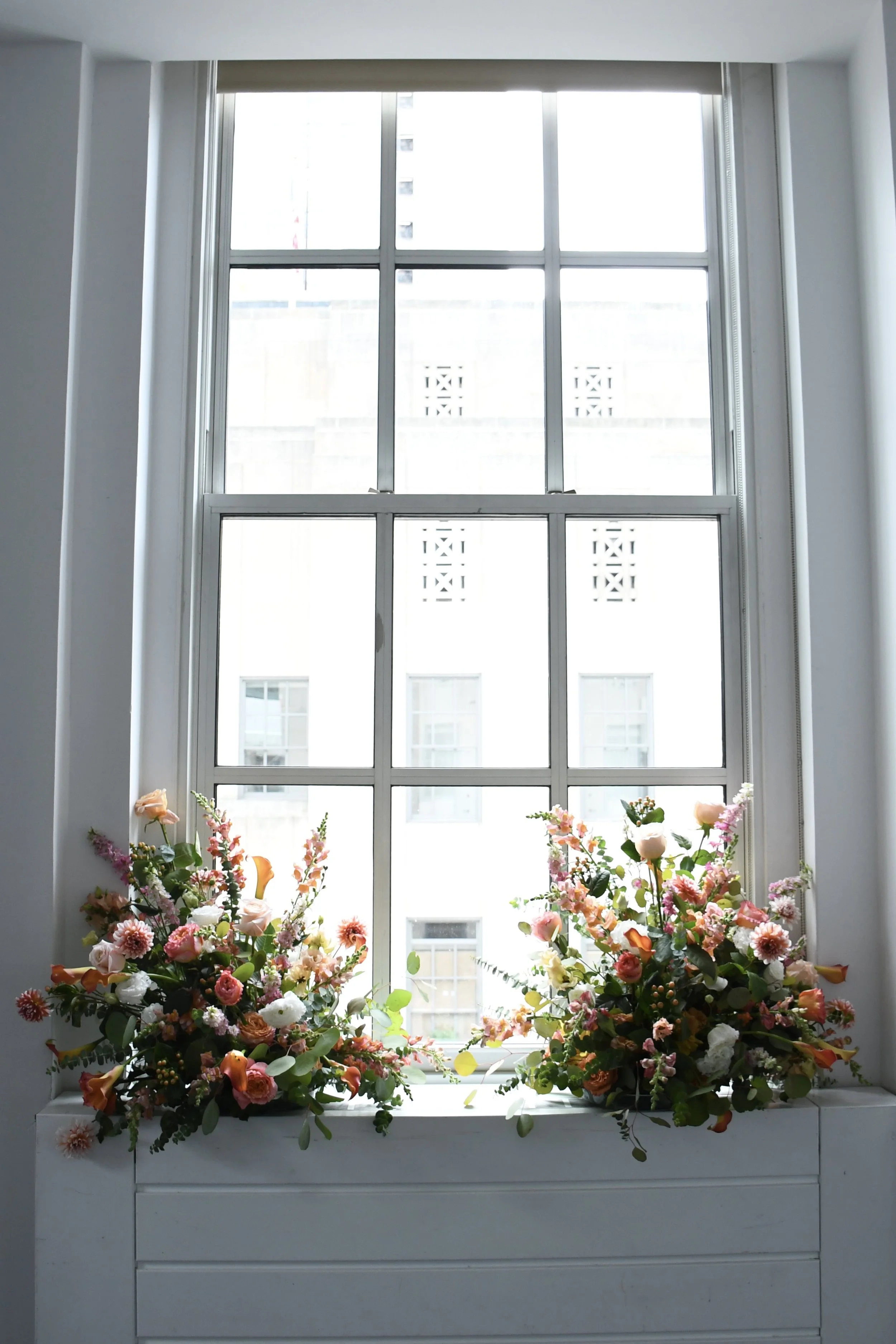 Photo Nov 09 2025, 11 54 53 AM.jpg