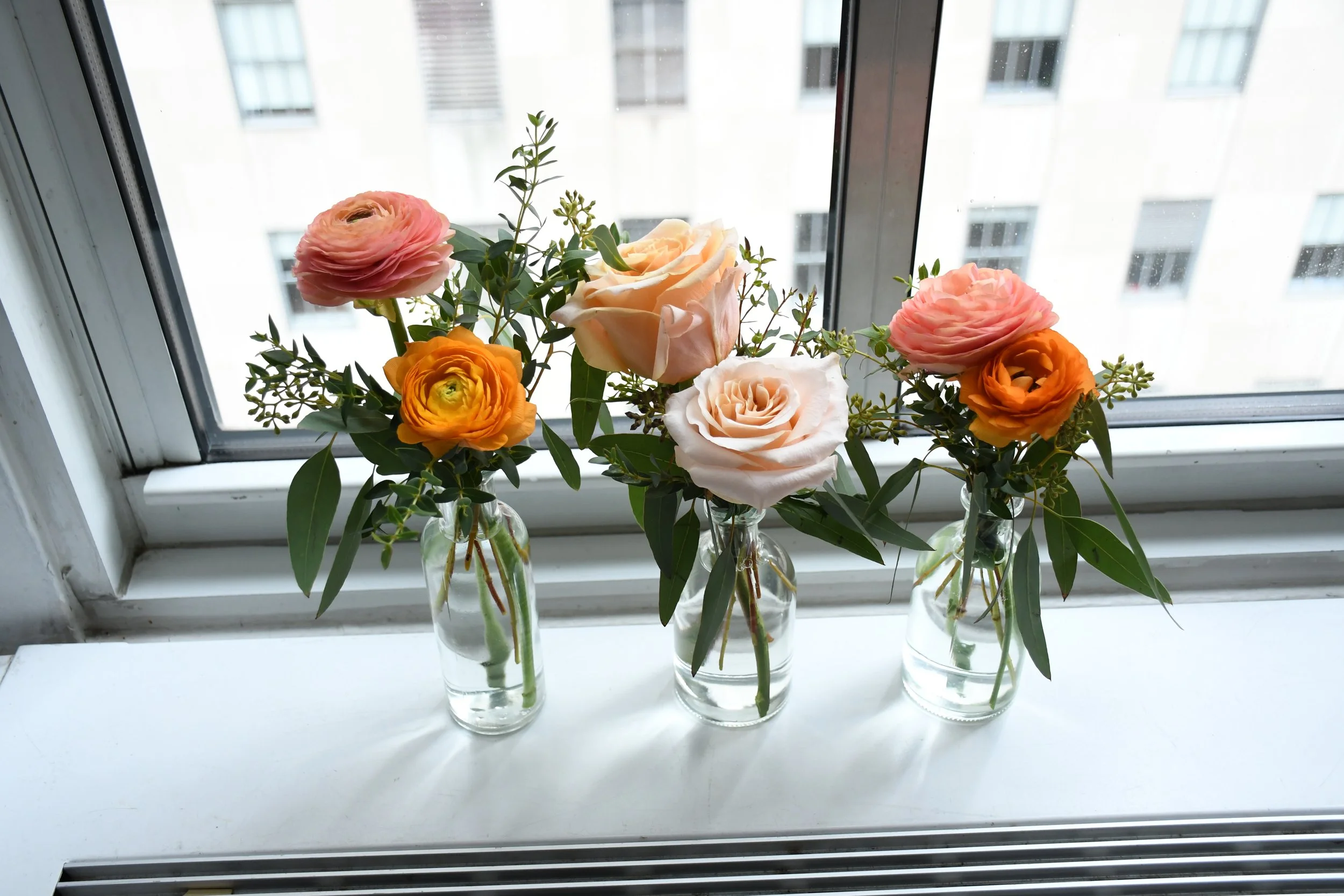 Photo Nov 09 2025, 12 05 05 PM.jpg