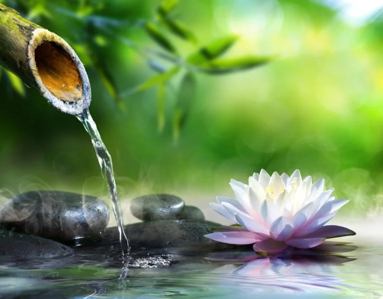 zen-garden-768x599.jpg