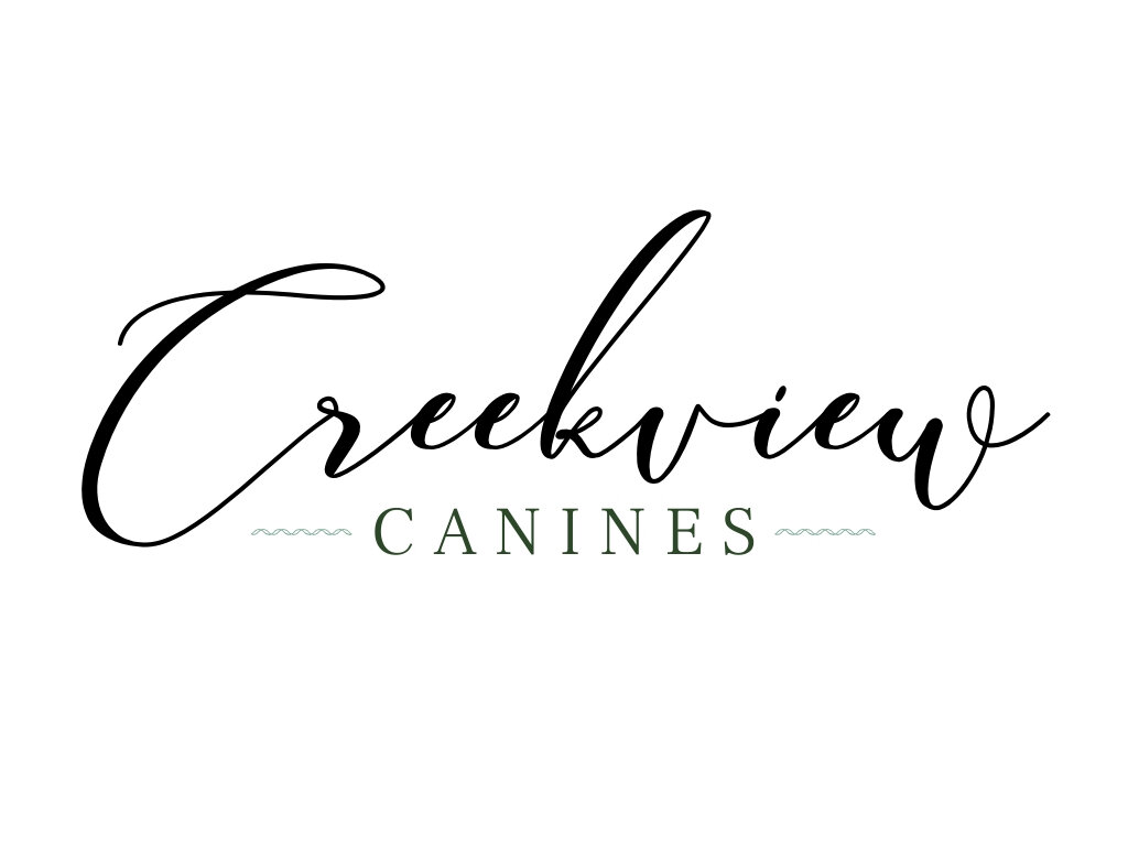 Creekview Logo JPG.jpg