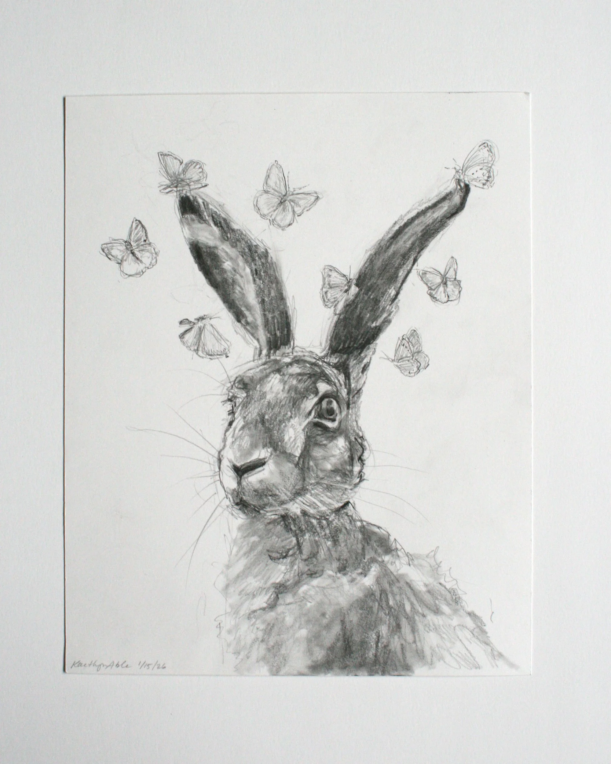 butterflyhare.jpg