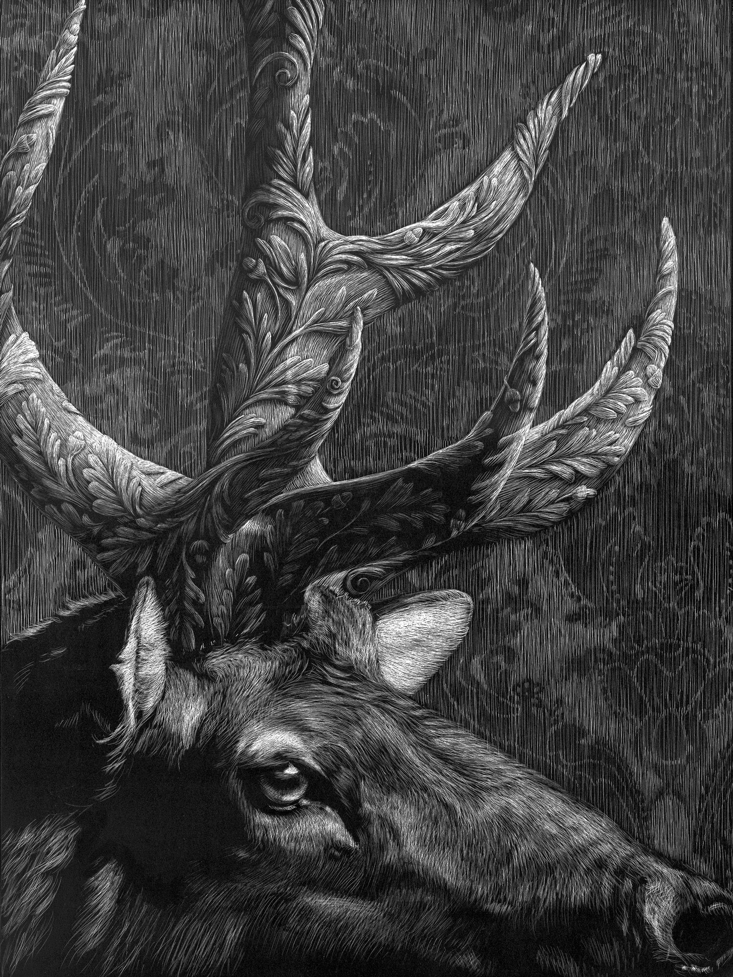 Elk Adorned