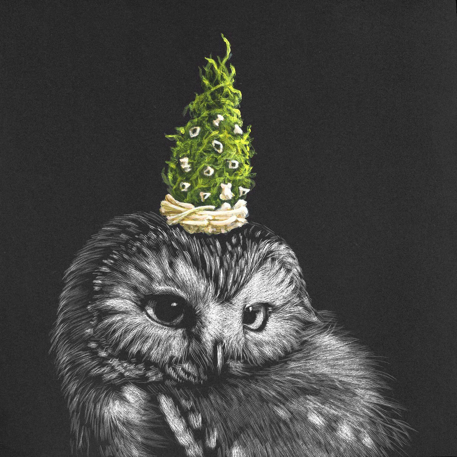 owl1web.jpg