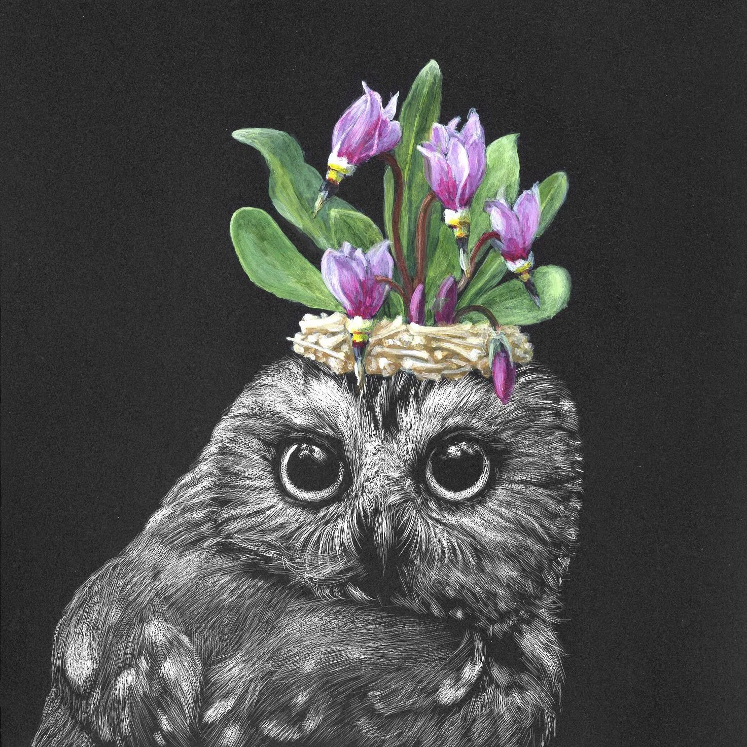 owl008.jpg