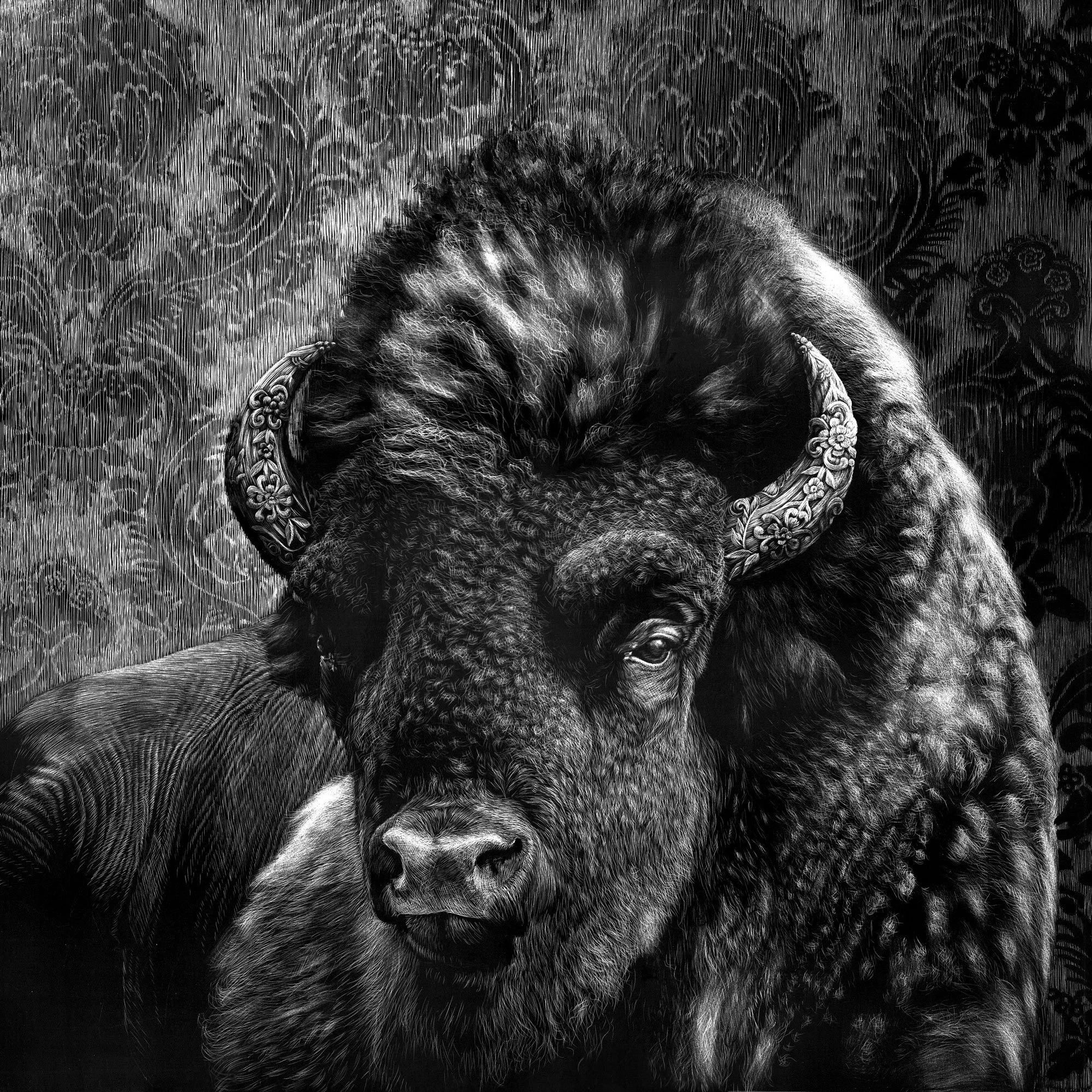 Bison-Adorned-web2.jpg