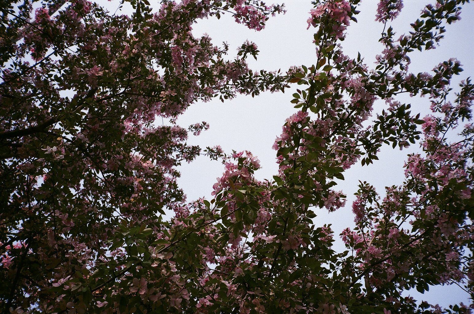 ATHIRDTIME_TEXTURE (2 of 9).jpg