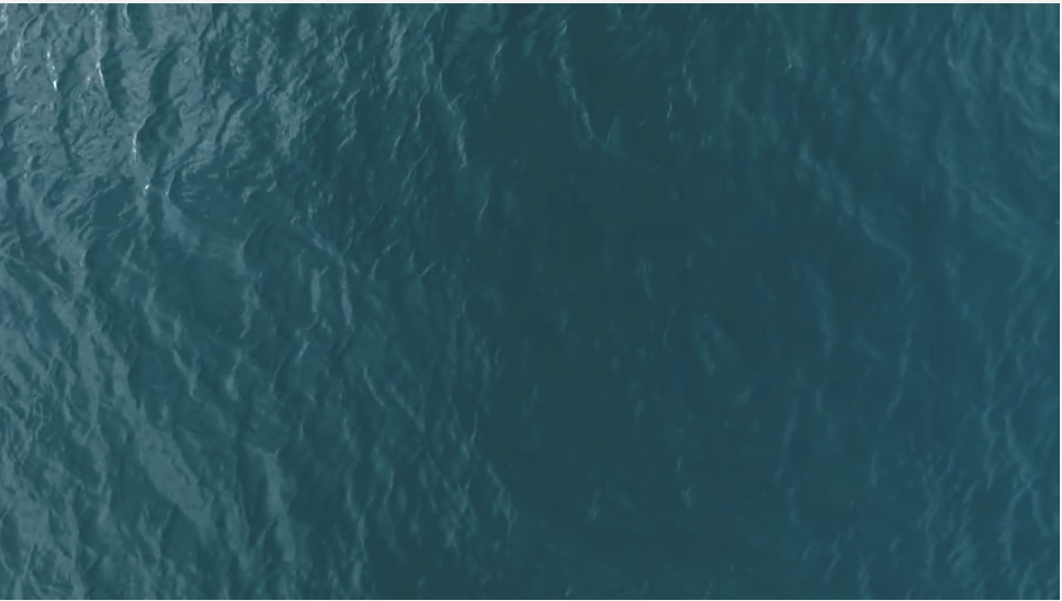 Screen Shot 2017-03-31 at 9.13.26 PM.png