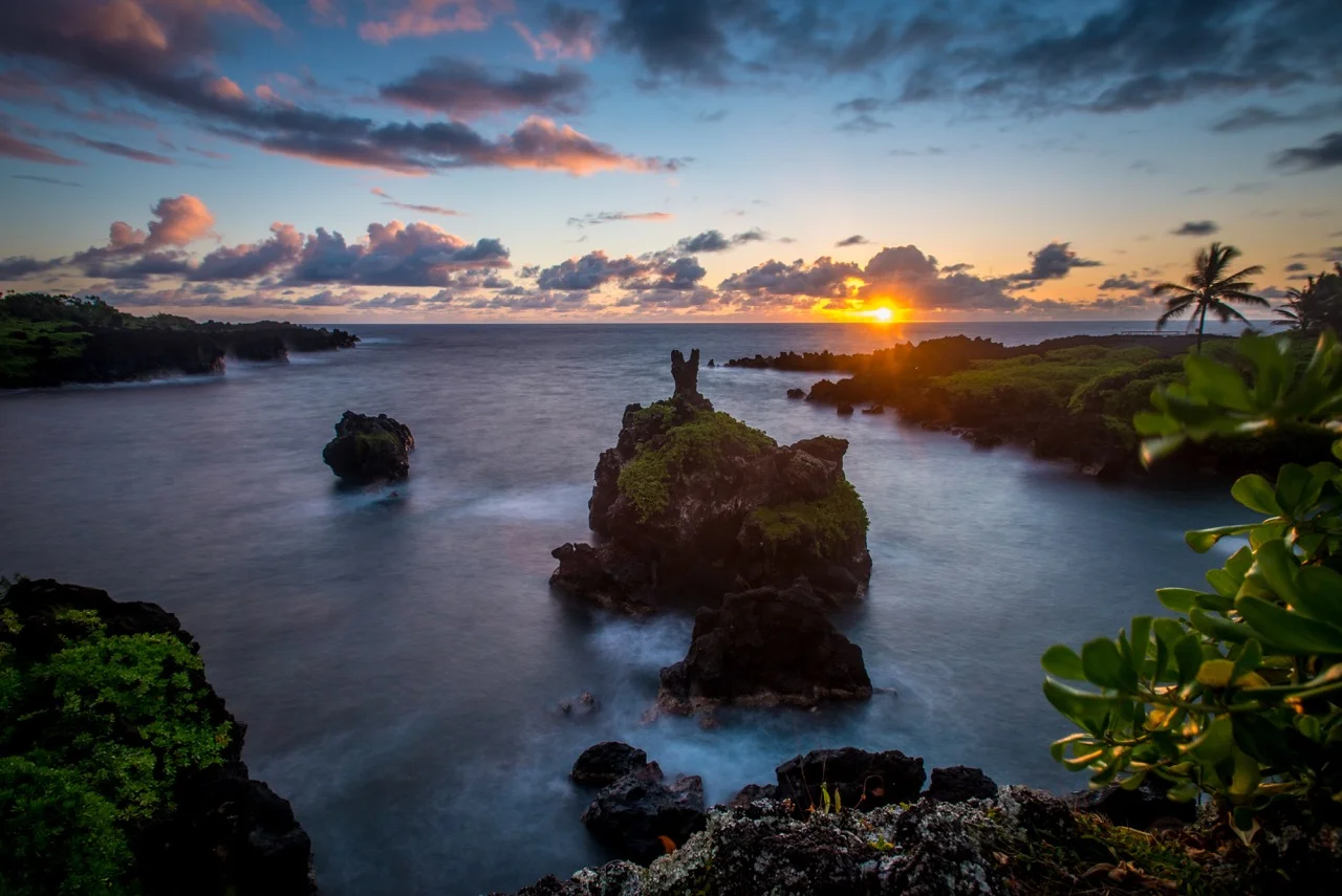 maui (1 of 1)-8.jpeg