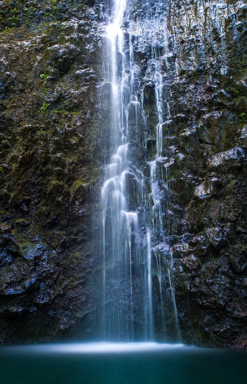 maui (1 of 1)-9.jpeg