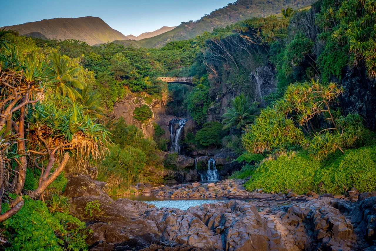 maui (1 of 1)-5.jpeg