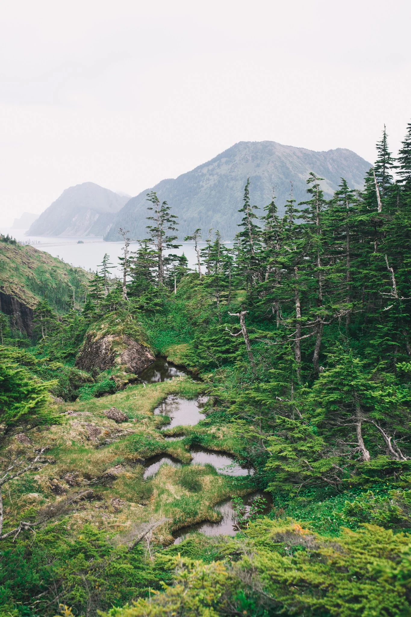 Have the time to find your own space in the woods above the yurts at Shearwater Cove. Photo credit: Mikey Huff