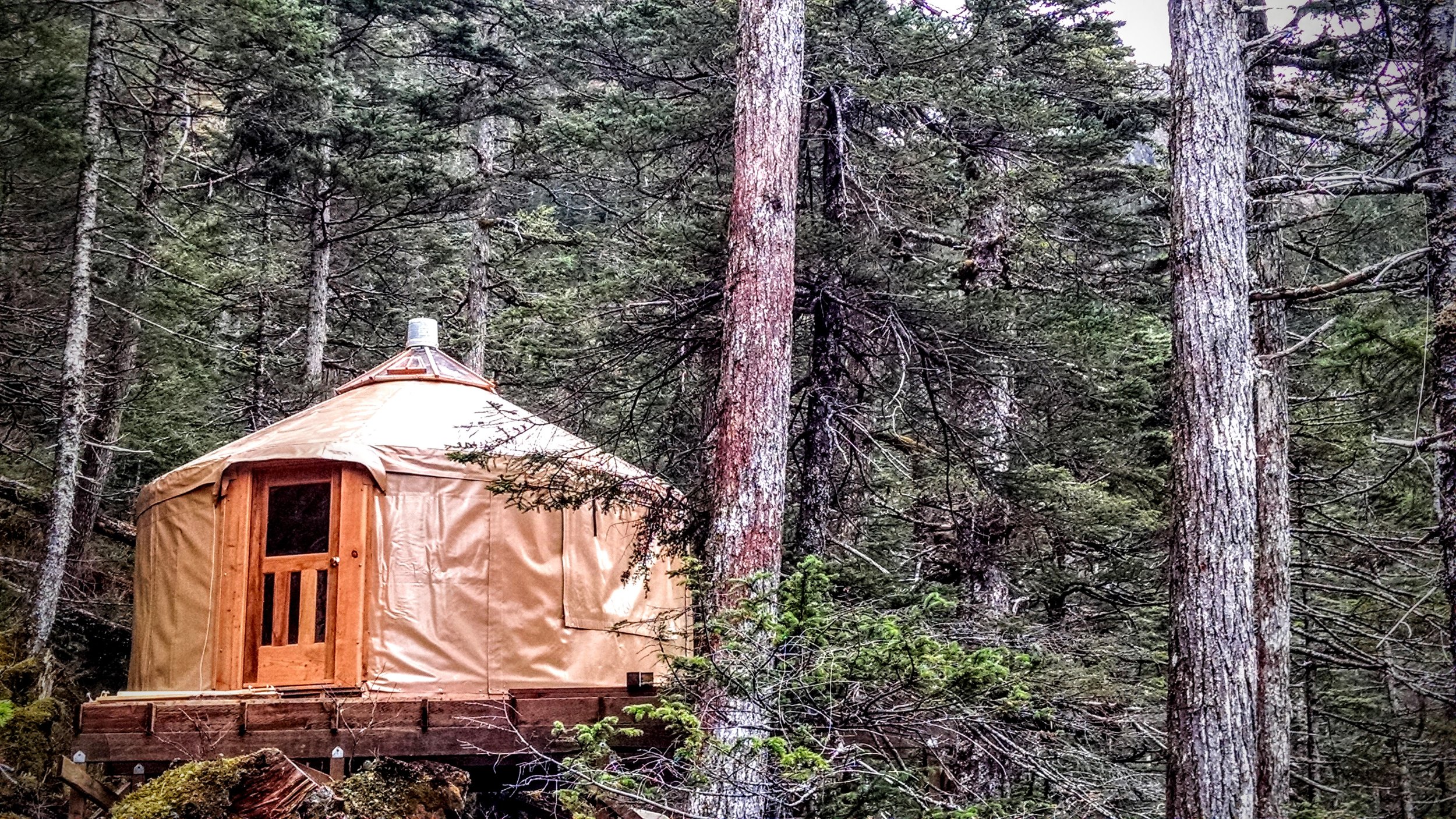  On November 4, 2015 we raised the first yurt and then high-tailed it outta there before winter set in. We were exhausted to the bone. We took the winter to recover before getting back to it in April 2016. 