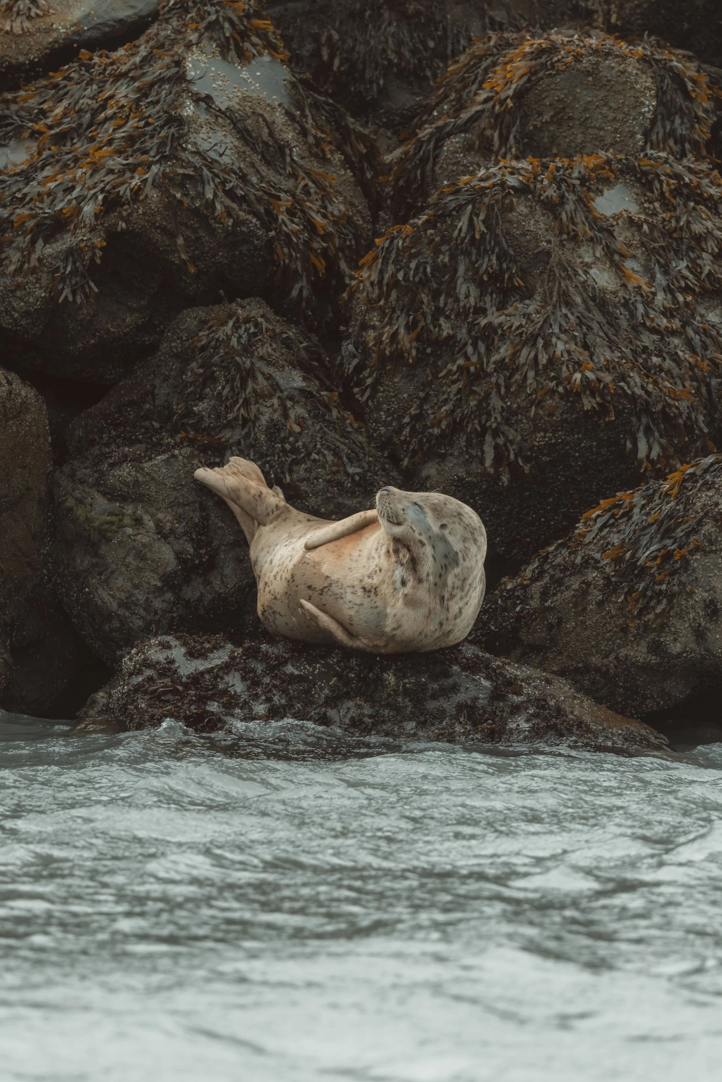 Sherwater_Cove_JF-1.jpg